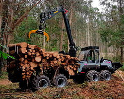 Grifo Fiel espada Por tipo de máquina o implemento forestal – GRUPO FOREST PIONEER MAQUINARIA  FORESTAL