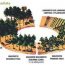 Mecanización Forestal En Euskadi: Tala Y Desembosque