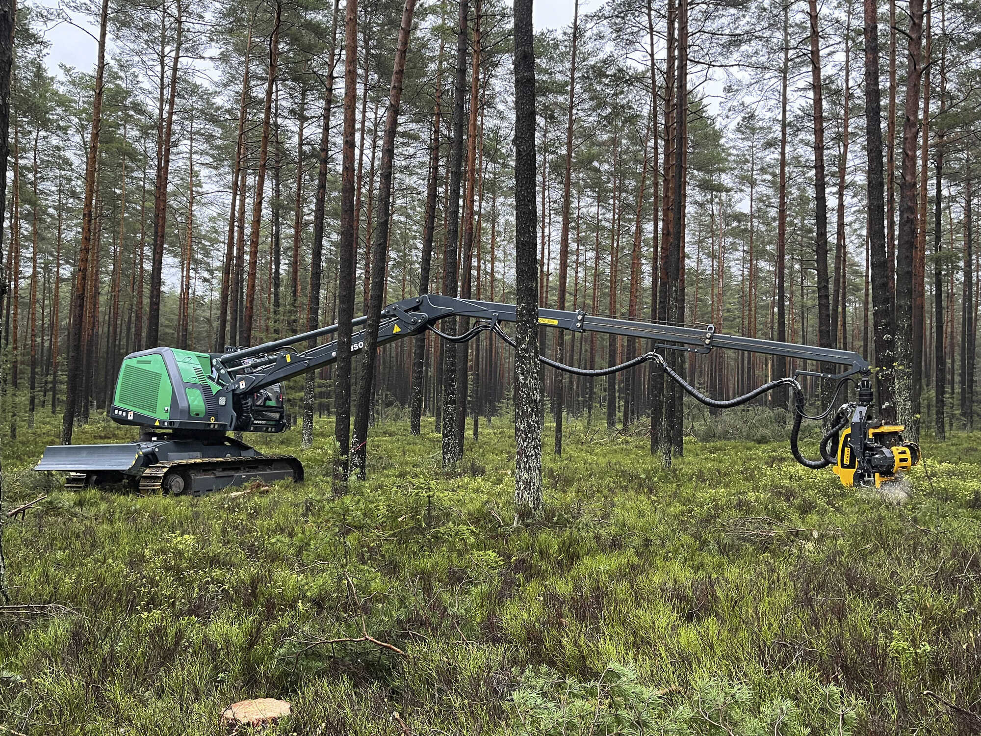 NEUSON FOREST 264hvt-long reach